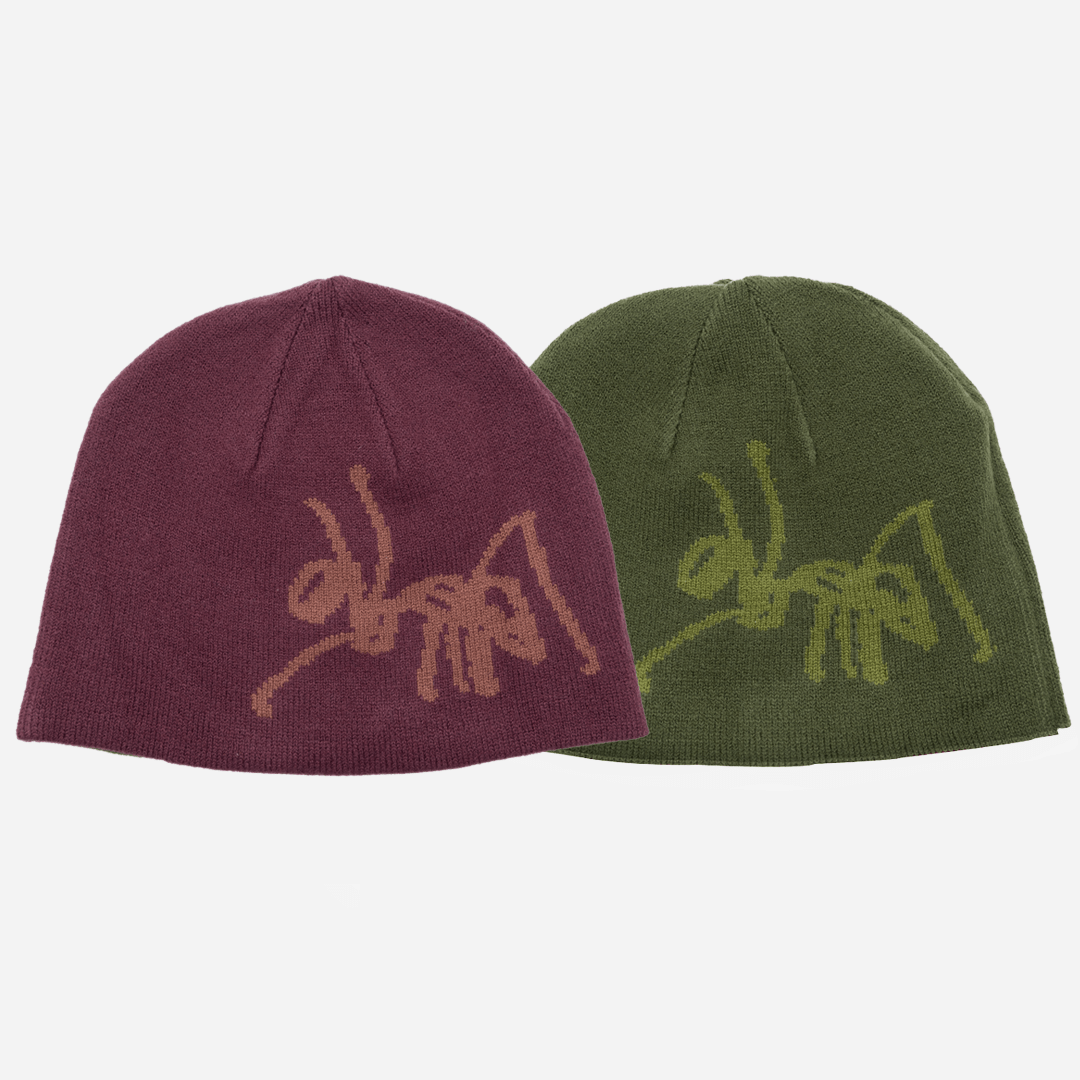 Reversible Beanie
