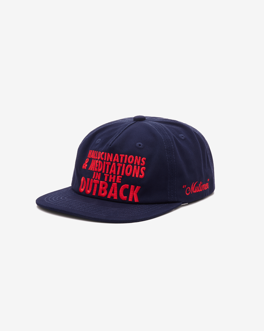 Hallucinations Hat
